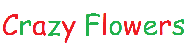 cf-logo.png